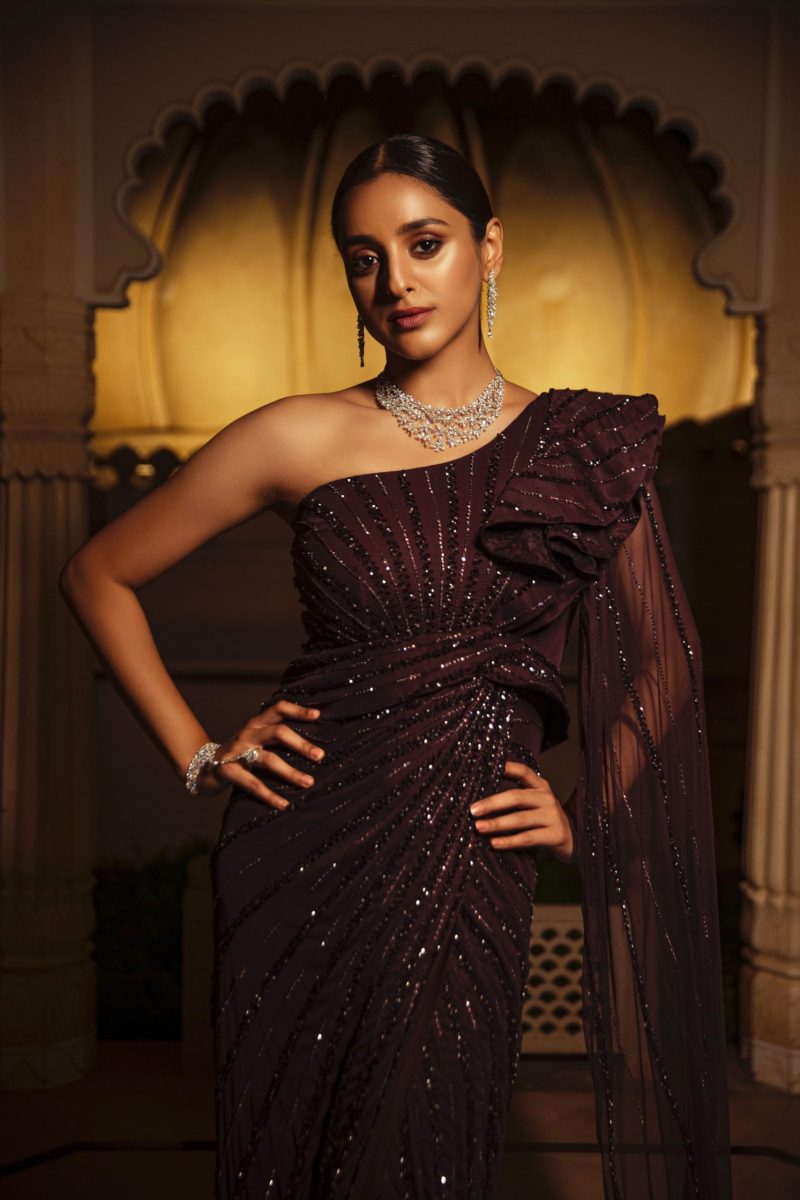 Bordeaux Cosmos Saree Embroidered Partywear Gown