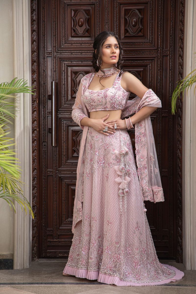 Light Pink Fully Embroidered Mermaid Lehenga