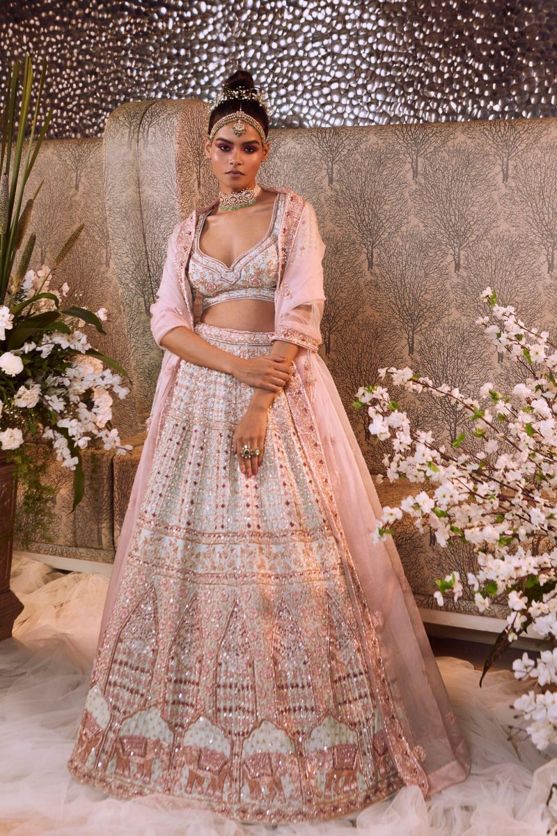 Glacier Embroidered Lehenga Set