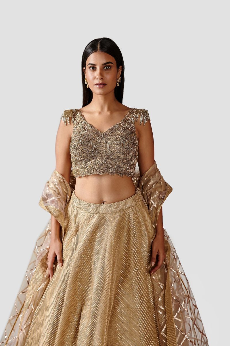 Light Gold and Antique Color Net Lehenga - Image 3