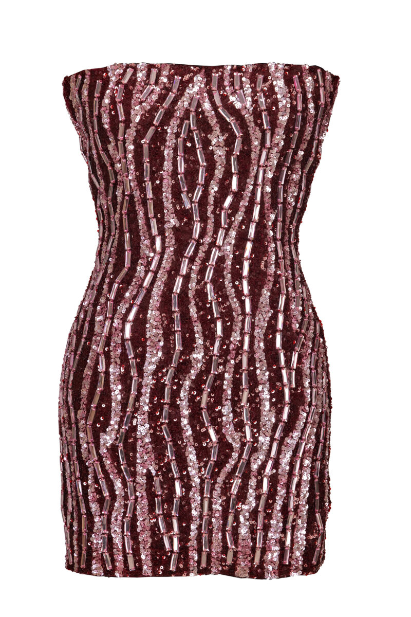 Ruby Burgundy Sequins Mini Dress - Image 3